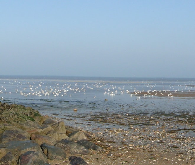 Heacham South Beach. Heacham South Beach.