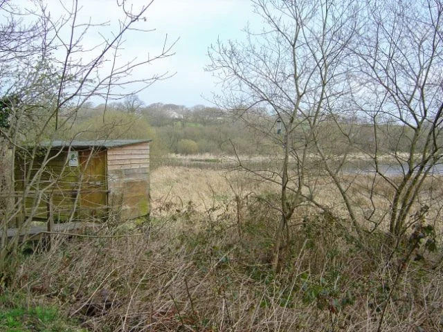 Lower Tamar Lake bird hide. Lower Tamar Lake bird hide.