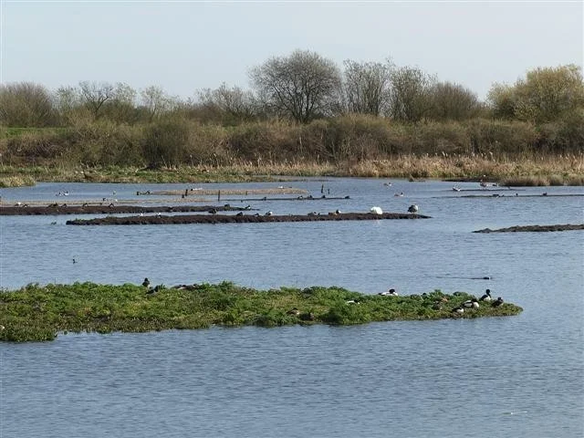 View of one of Tophill's lagoons. View of one of Tophill's lagoons.