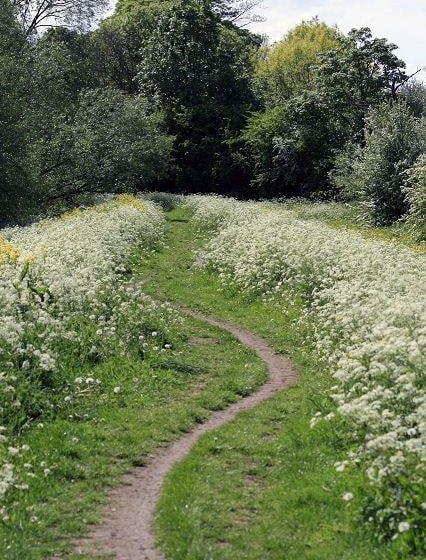 The side of the River Ouse near Bishopthorpe. The side of the River Ouse near Bishopthorpe.