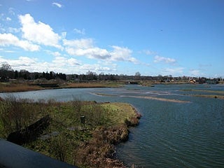 View from Peacock Tower back across main lake; two other hides on left. View from Peacock Tower back across main lake; two other hides on left.
