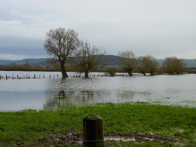 Moderate flooding in January 2016. Moderate flooding in January 2016.