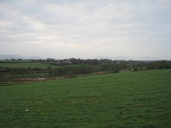 Looking towards the valley and the pool frequented by a Purple Heron in April 2011. Looking towards the valley and the pool frequented by a Purple Heron in April 2011.