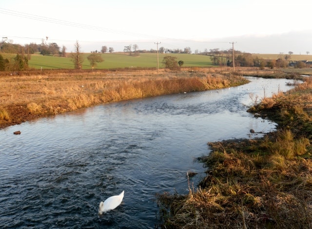 View of River Lea from Cooters End Lane bridge. View of River Lea from Cooters End Lane bridge.