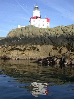 The Skerries at dawn; an amazing place with terns wheeling everywhere. The Skerries at dawn; an amazing place with terns wheeling everywhere.