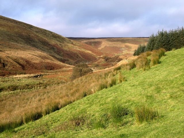 Whittendale Valley and Fell. Whittendale Valley and Fell.