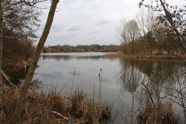 Taken from the western end of the Broad. Canon 40D. Taken from the western end of the Broad. Canon 40D.