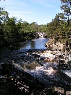 Low Force. Low Force.