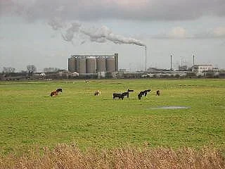 Looking from the river across the marshes to Cantley Sugar Beet Factory. Looking from the river across the marshes to Cantley Sugar Beet Factory.