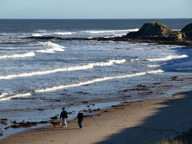 Cresswell beach. Cresswell beach.
