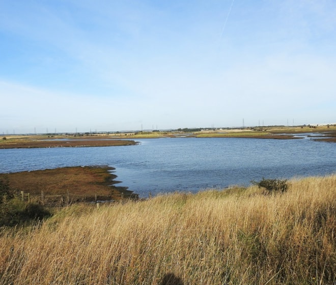 Greatham Creek at high tide. Greatham Creek at high tide.