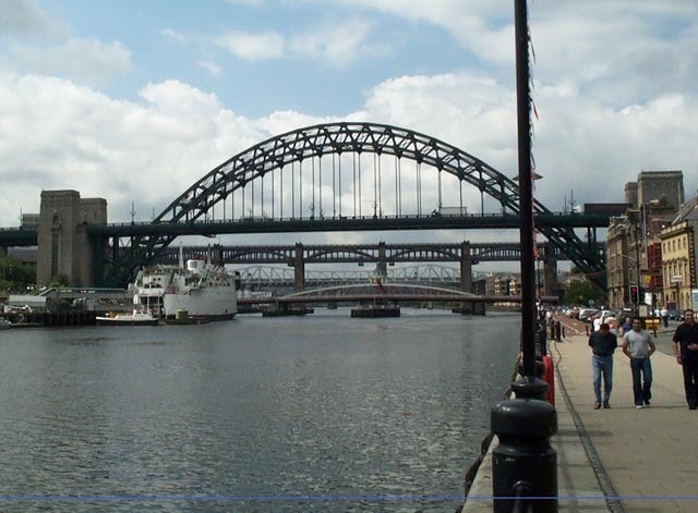 Newcastle Upon Tyne Birdwatching Site Birdguides
