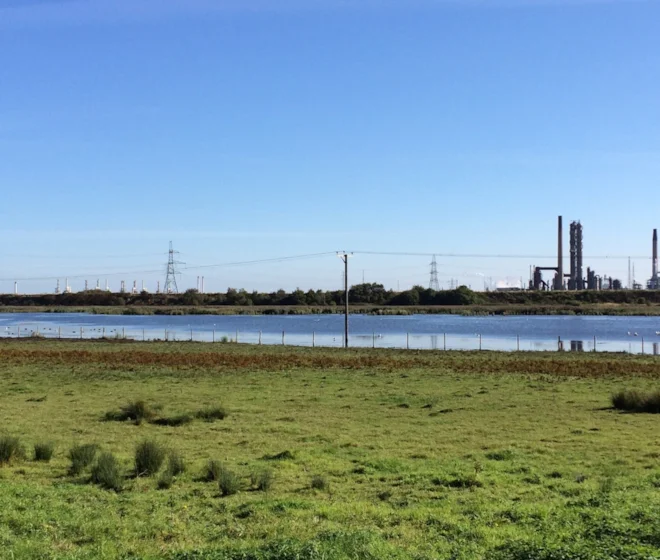 Dormans Pool from hide. Dormans Pool from hide.