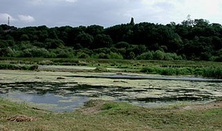Main view from hide 2. Taken in July. Main view from hide 2. Taken in July.