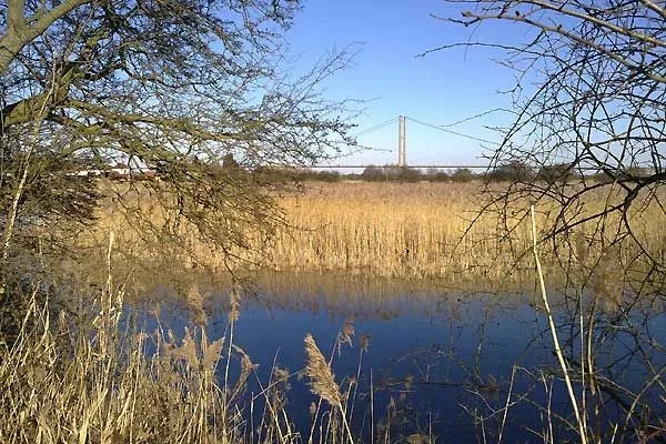 Looking towards the Humber Bridge from the path to the river, near the old visitor centre. Looking towards the Humber Bridge from the path to the river, near the old visitor centre.