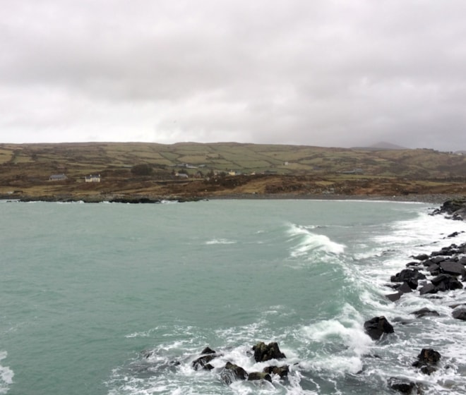 The bay at Cahermore which hosted a wintering King Eider in winter 2013/14. The bay at Cahermore which hosted a wintering King Eider in winter 2013/14.