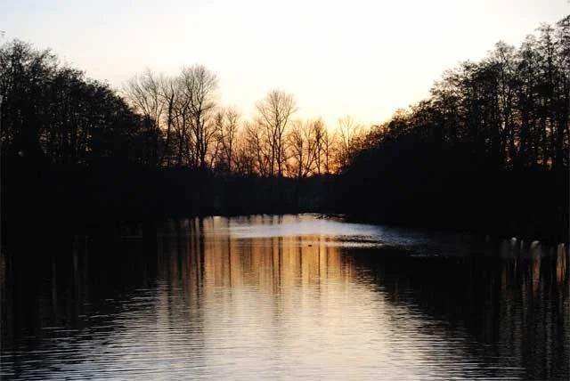 Image supplied by Mr A Norburn Image supplied by Mr A Norburn