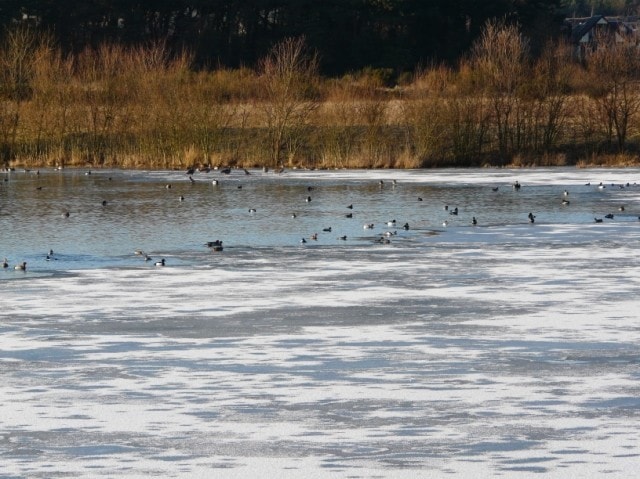 Partially frozen February 2010. Partially frozen February 2010.