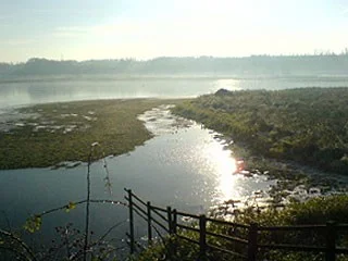View from Wath Ings Hide, frosty November morning View from Wath Ings Hide, frosty November morning