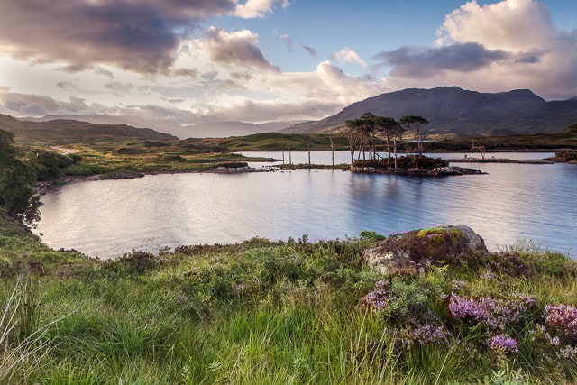 Image supplied by George Johnson Image supplied by George Johnson