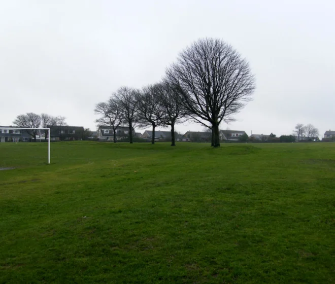Foxhill Park, good for Common Gulls. Foxhill Park, good for Common Gulls.