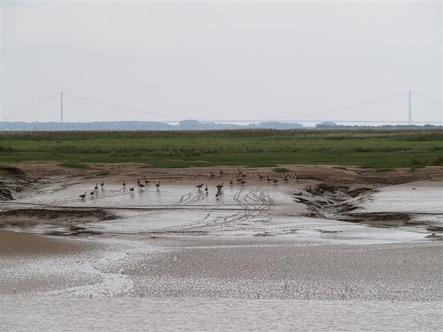 View of Whitton Sand from north bank of River Humber. View of Whitton Sand from north bank of River Humber.