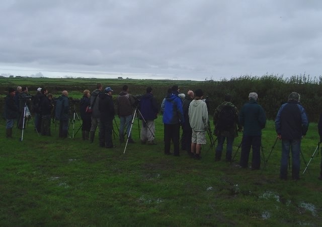 The Philadelphia Vireo crowd; a rather happy bunch in an extremely wet field. The photographer's choice of trainers as footwear for the day was questionable. The Philadelphia Vireo crowd; a rather happy bunch in an extremely wet field. The photographer's choice of trainers as footwear for the day was questionable.