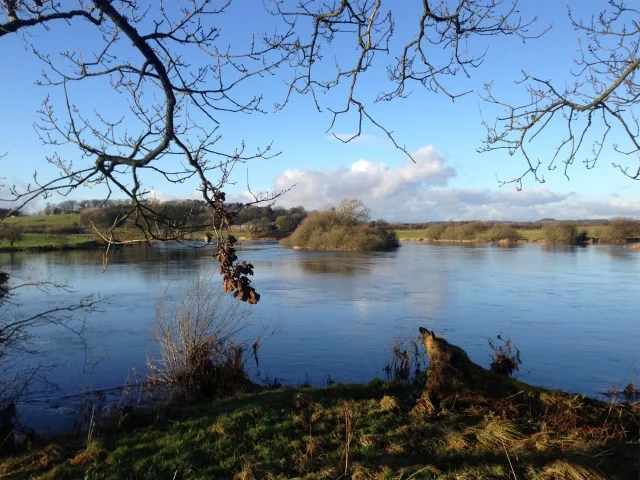 The view from Lamb Island hide. The view from Lamb Island hide.