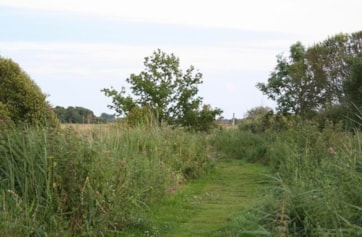 Path from Fen Hide to main track.