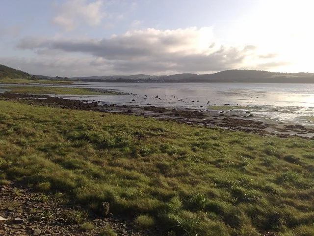 The view from Gibb Hill towards Kirkcudbright. There are 5 Spoonbills out there somewhere. The view from Gibb Hill towards Kirkcudbright. There are 5 Spoonbills out there somewhere.