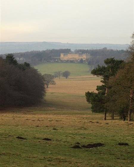 Image supplied by Mick Greenwood Image supplied by Mick Greenwood