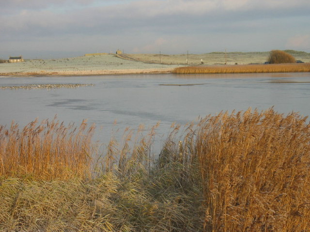 98846635-f9db-40f6-997a-2e3d4fb203af.jpg?u0026width=362u0026height=237u0026bgcolor=ffffffu0026mode=crop