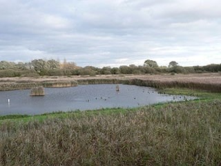 Image supplied by Peter Cook Image supplied by Peter Cook