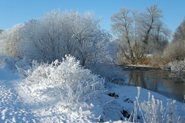 The River Eden from the Stony Holme golf course. The River Eden from the Stony Holme golf course.