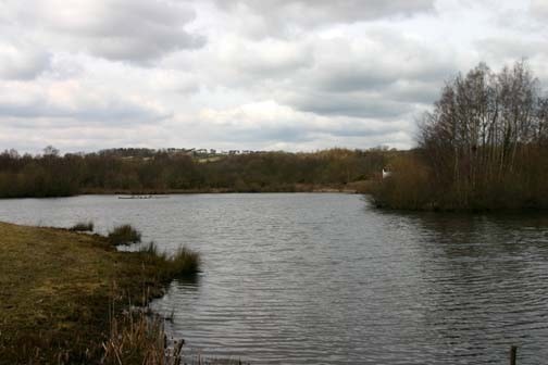 Taken from south hide. Taken from south hide.