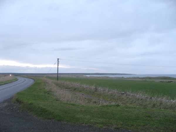 Fields to the north of Reiss; this area hosted an Upland Sandpiper in September 2009, illustrating the potential of the area. Fields to the north of Reiss; this area hosted an Upland Sandpiper in September 2009, illustrating the potential of the area.
