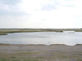 Yacht Club Ponds from the bank Yacht Club Ponds from the bank