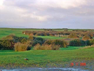 A general view of the central area of Northam Burrows CP.
Image taken with a Sony DSCP10 digital camera. A general view of the central area of Northam Burrows CP.
Image taken with a Sony DSCP10 digital camera.