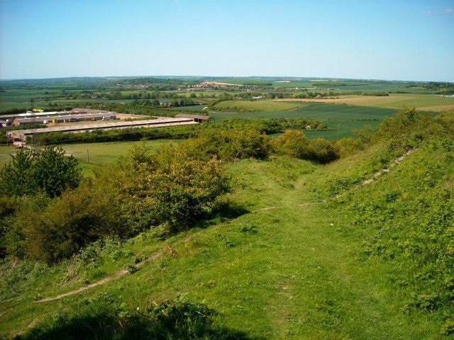 Bison Hill forms part of Whipsnade Down. Excellent butterfly site with Green Hairstreak, Duke of Burgundy and many other downland species present. Bison Hill forms part of Whipsnade Down. Excellent butterfly site with Green Hairstreak, Duke of Burgundy and many other downland species present.