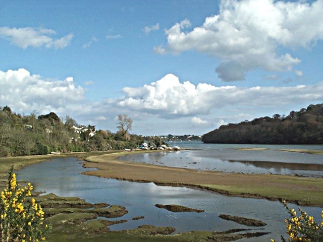 Viewed from Tallack's Creek, an offshoot of Restroguet Creek and probably the best place to watch birds from. Viewed from Tallack's Creek, an offshoot of Restroguet Creek and probably the best place to watch birds from.