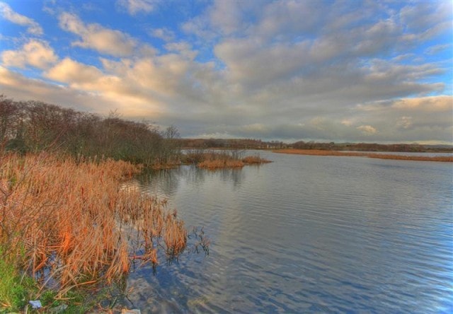 Image supplied by Sean Cronin Image supplied by Sean Cronin