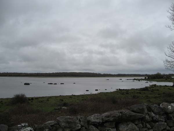Water levels were very high in late March 2010, resulting in very few birds being present! Water levels were very high in late March 2010, resulting in very few birds being present!