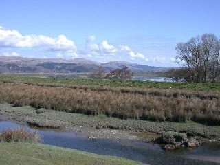 One of those magical wild places that feels as though anything could turn up! Only the railway between here and the Dyfi estuary and only a couple of miles from the coast. One of those magical wild places that feels as though anything could turn up! Only the railway between here and the Dyfi estuary and only a couple of miles from the coast.