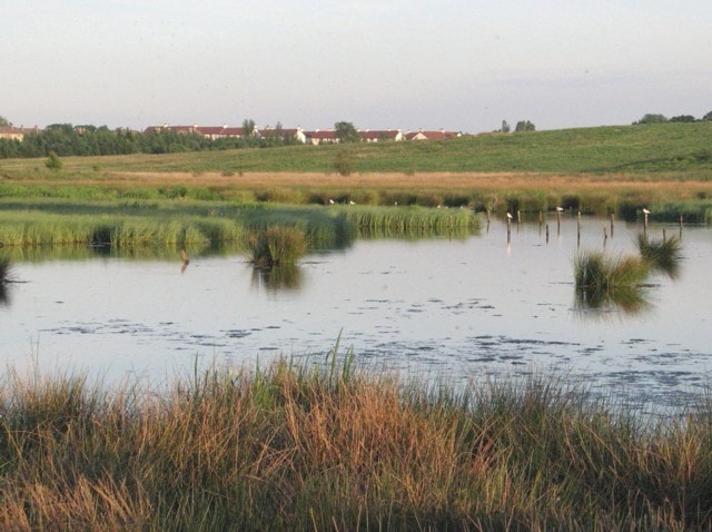 View of Gartloch Pools, south of Gartloch Road. View of Gartloch Pools, south of Gartloch Road.