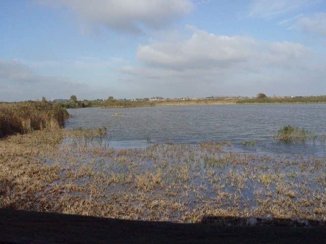 Sony DSC-F717. View from the hide looking slightly to the left. Sony DSC-F717. View from the hide looking slightly to the left.