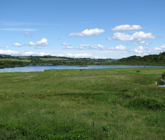 Aird Meadow, from visitor centre tower. Aird Meadow, from visitor centre tower.