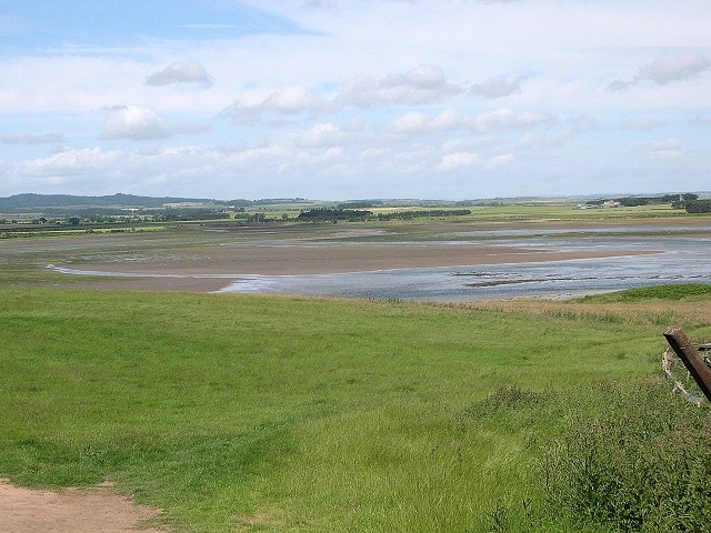 A haven for wildfowl and waders. A haven for wildfowl and waders.