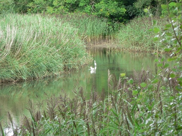 Image supplied by Peter Cook Image supplied by Peter Cook