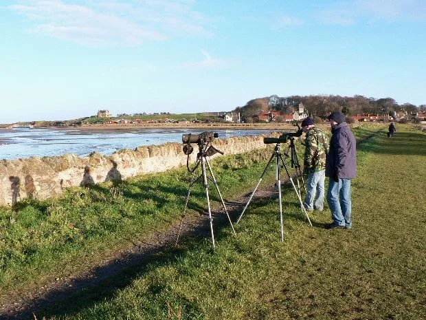 Image supplied by Kris Gibb Image supplied by Kris Gibb