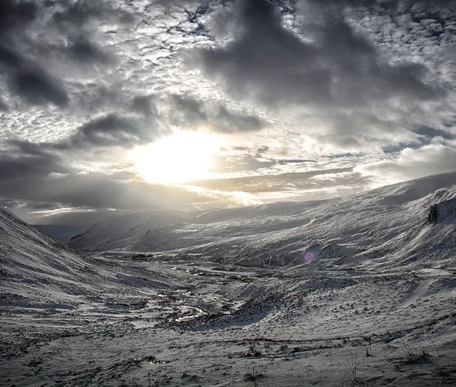 Image supplied by Mark Caunt Image supplied by Mark Caunt